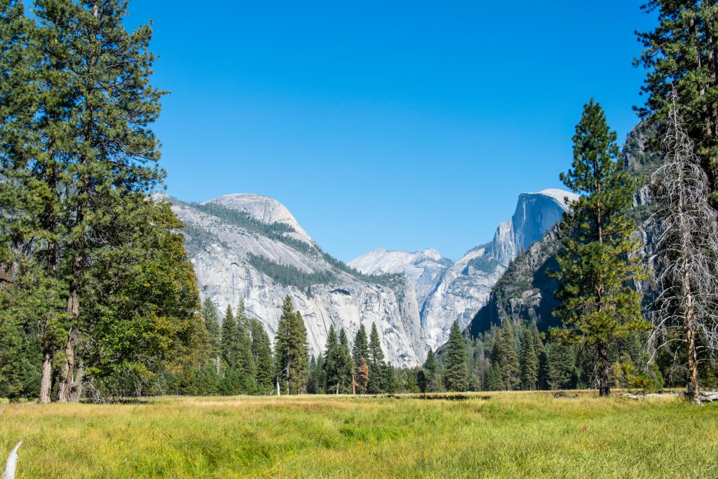 Yosemite Roadtrip